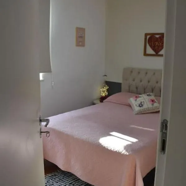 Apartamento Marilândia Juiz de Fora，位于Belmiro Braga的酒店