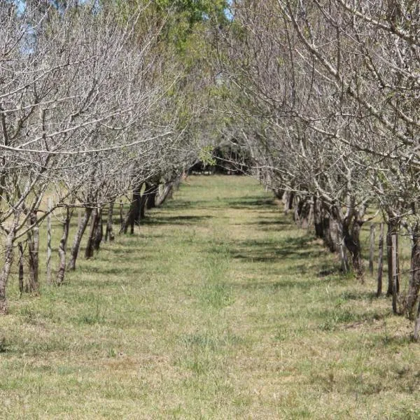 Los Almendros，位于Verónica的酒店