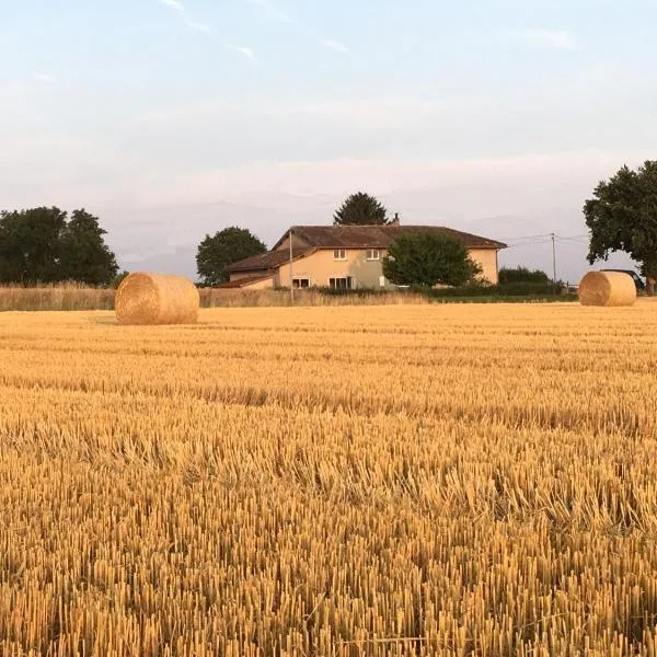 Le clos du chêne - Chambres dans maison Bressane à Saint Trivier sur Moignans，位于Baneins的酒店