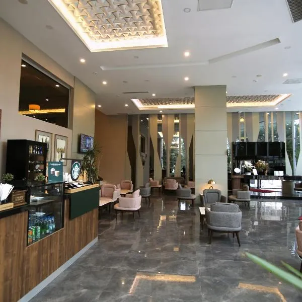 Hotel Excellence Inn，位于Alacaatlı的酒店