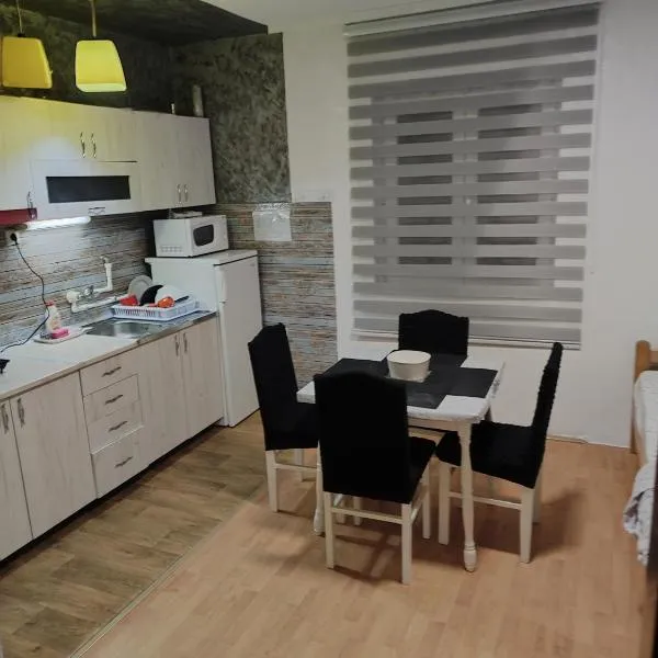 Kuršumlijska banja apartman，位于Kursumlijska Banja的酒店