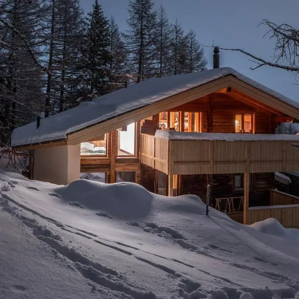 Chalet Adler，位于萨斯费的酒店