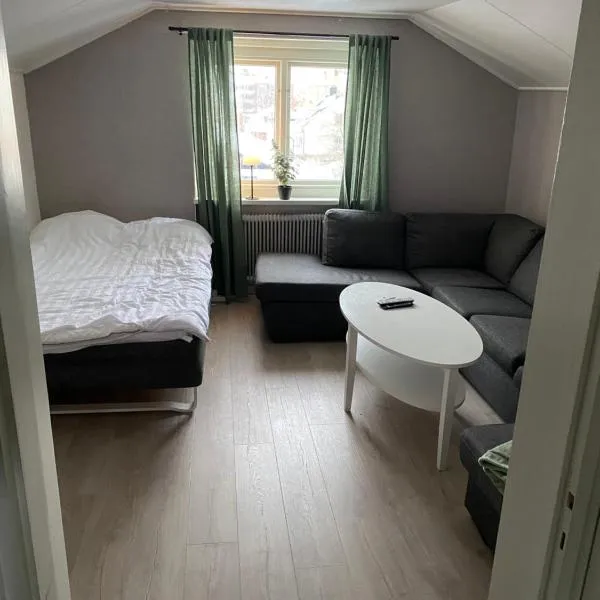 En liten lägenhet i centrala Sveg.，位于斯韦格的酒店