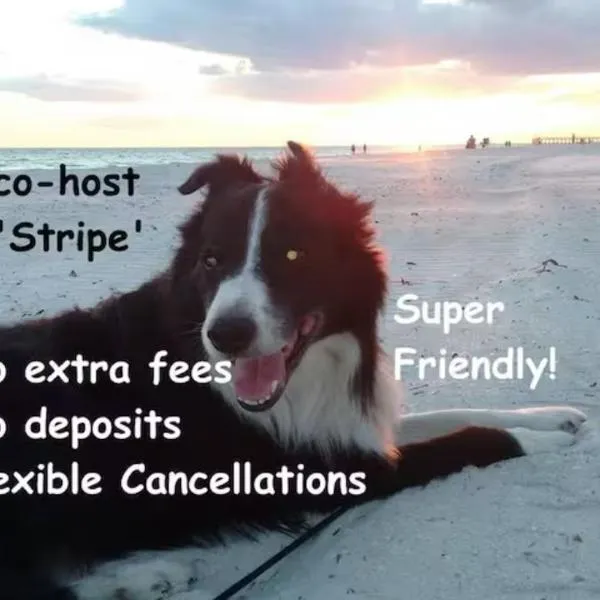 Rooms in Largo，位于拉哥的酒店