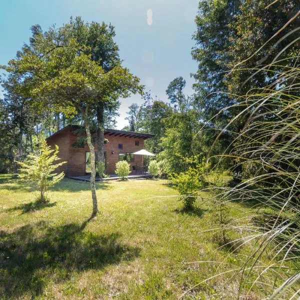 Cabañas Pucon Location，位于普孔的酒店