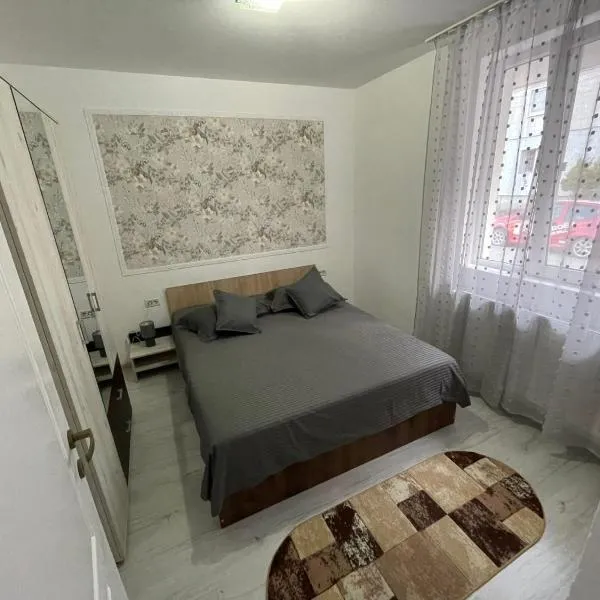 R.M Apartament，位于卢戈日的酒店