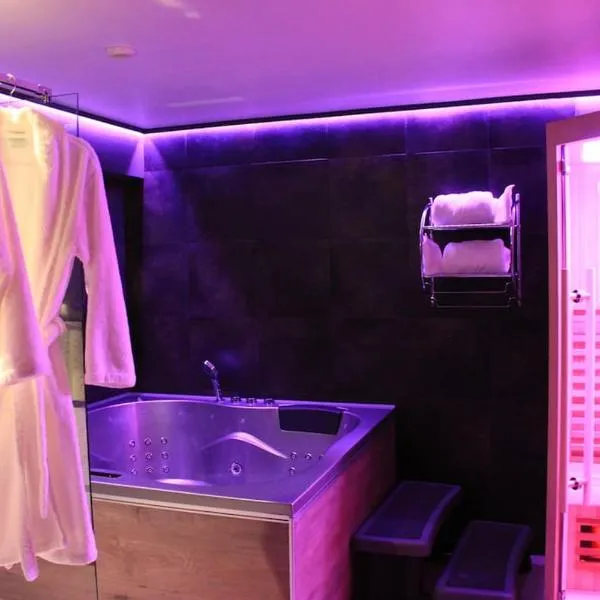 L'Ecrin duplex balnéo & Sauna，位于特鲁瓦的酒店