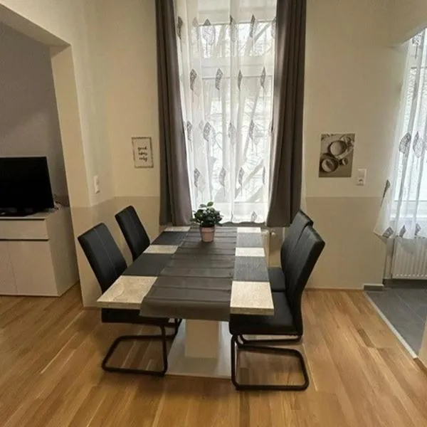 Paky Appartements 00207，位于维也纳的酒店