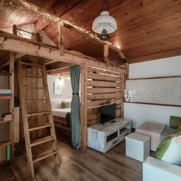 Casa Edera by Quokka 360 - typical romantic wooden house，位于Solduno的酒店