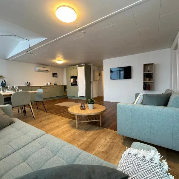 Illu Rental - Green House with Iceberg view，位于伊卢利萨特的酒店