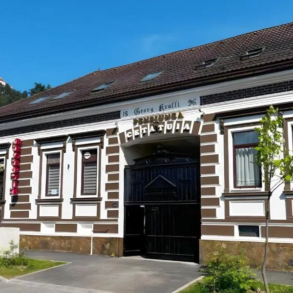 Cetățuia - Ultra-Central Râșnov Stay - Parking and Nature Close to Bran, Dino Parc and More，位于莱斯诺夫的酒店