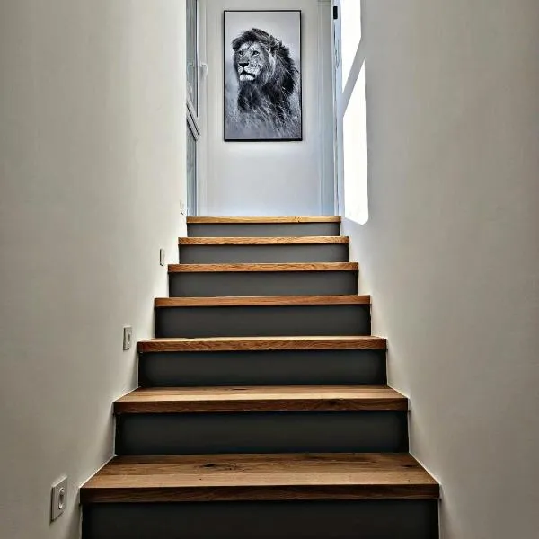 Lions Place Premium Apartments BUSINESS optionaler Zugang zum SPA- Bereich，位于布拉河畔的海登海姆的酒店