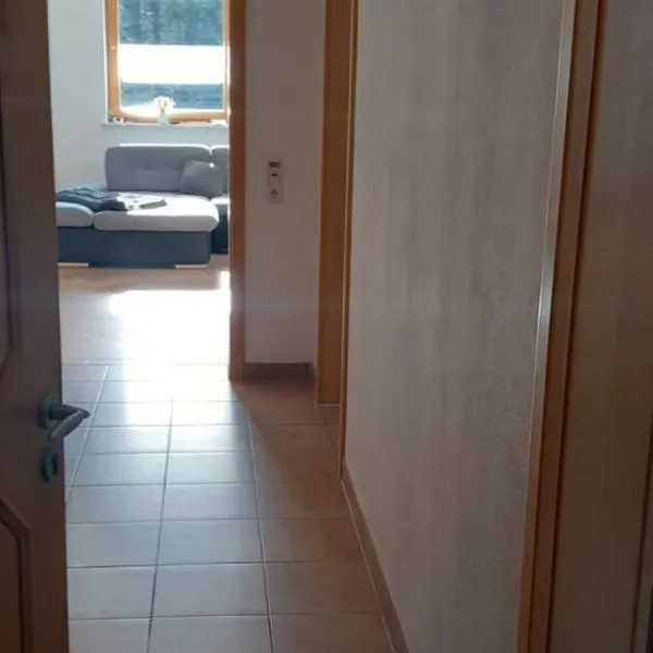 Ferienwohnung Geier，位于Schöfweg的酒店