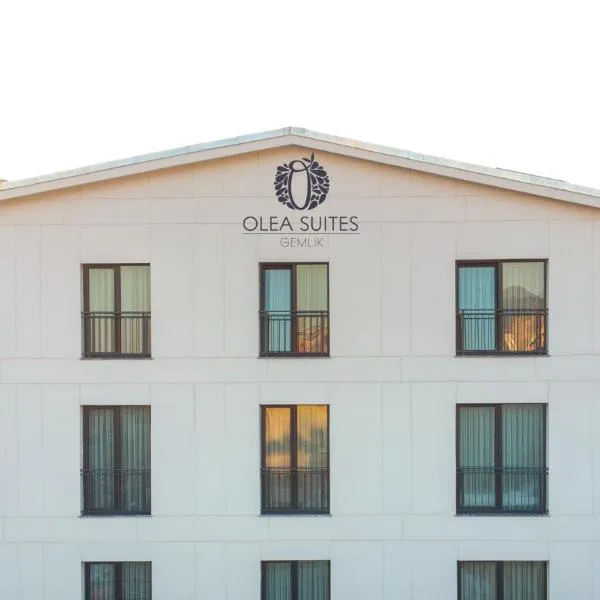 Olea Apart Otel，位于Gölyaka的酒店