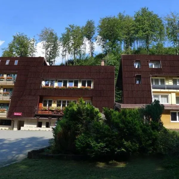 Ośrodek Wypoczynkowy Watra，位于科尔别卢夫的酒店