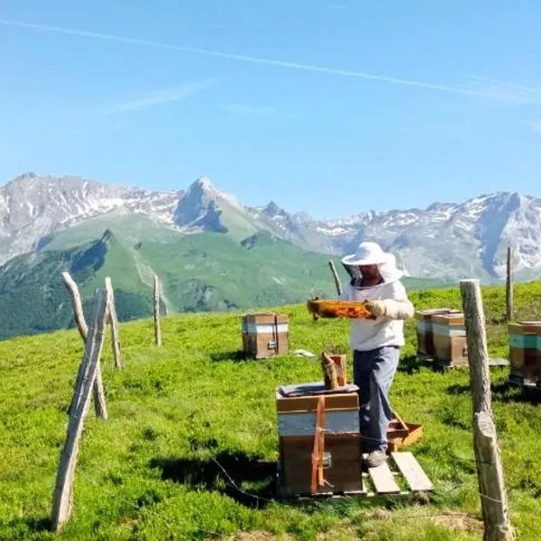 Vue montagne Béost-Laruns，位于Béost的酒店