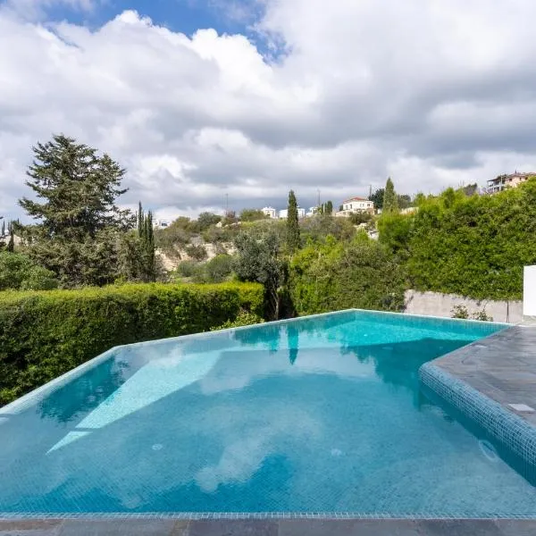 Sea View villa w infinity pool，位于Polemi的酒店