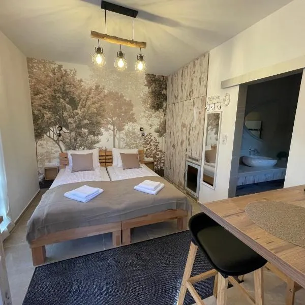 Vitality Apartman，位于毛科的酒店