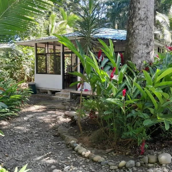 Beachfront Apartment Punta uva，位于蓬塔乌巴的酒店