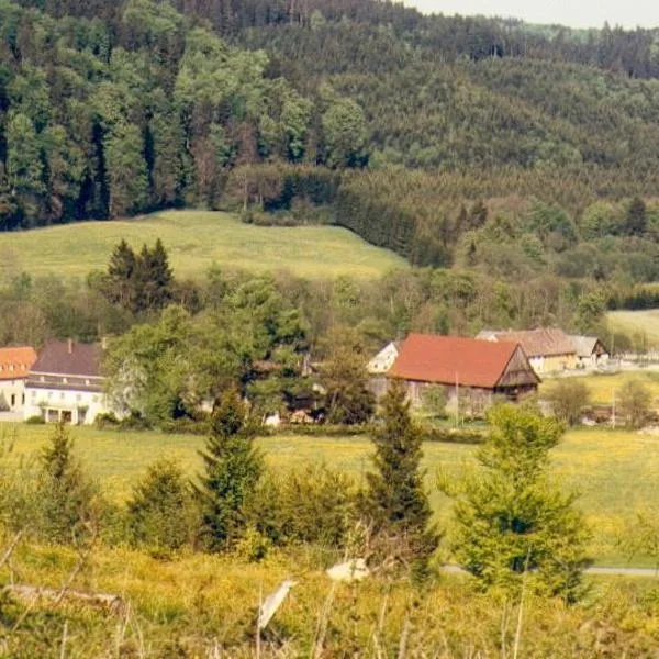 Die Remise - Schmidsfelden 12 - 88299 Leutkirch im Allgäu，位于阿尔戈伊地区洛伊特基希的酒店