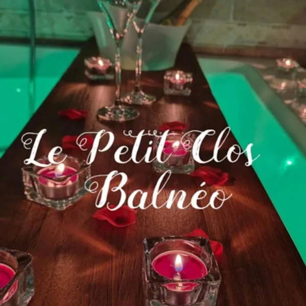 Studio SPA Le Petit Clos，位于谢勒的酒店