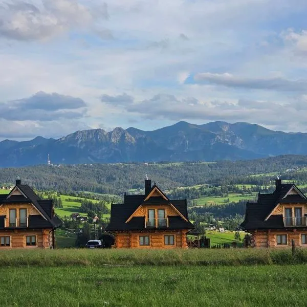 Alpine Chalet with Jacuzzi and Sauna，位于Czerwienne的酒店