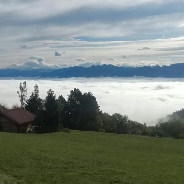 Le Petit Chalet du haut du Salève，位于La Chapelle-Rambaud的酒店