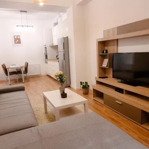 Apartament Calea Moldovei Residence - minibar si parcare GRATIS，位于Altdorf的酒店