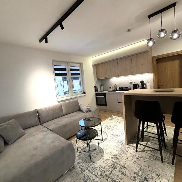 Pinewood apartment II Jahorina，位于亚霍里纳的酒店