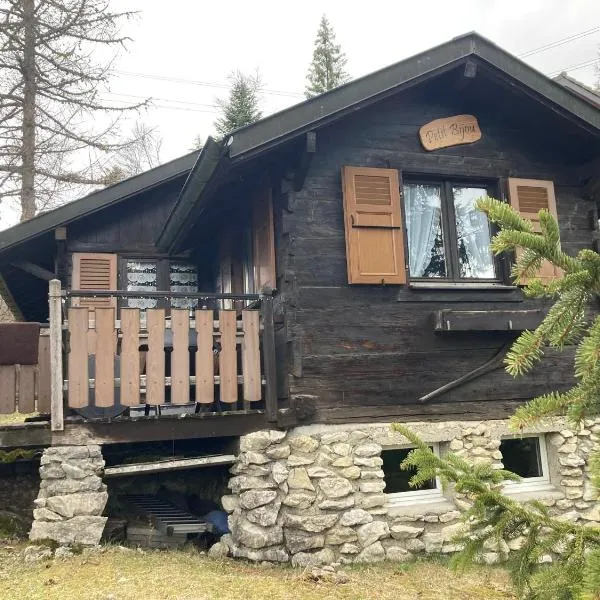 Entire cozy chalet in St-Cergue - 30 min from Geneva，位于圣塞尔格的酒店