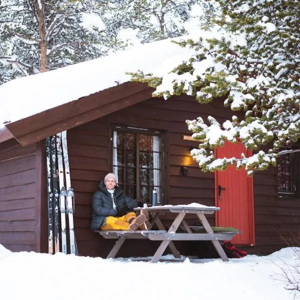 Sjodalen Hyttetun og Camping，位于Skåbu的酒店