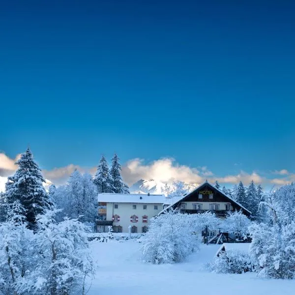 Hotel Restaurant Grünwalderhof，位于Medraz的酒店