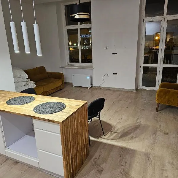 Apartament w Centrum Kalisza，位于卡利什的酒店
