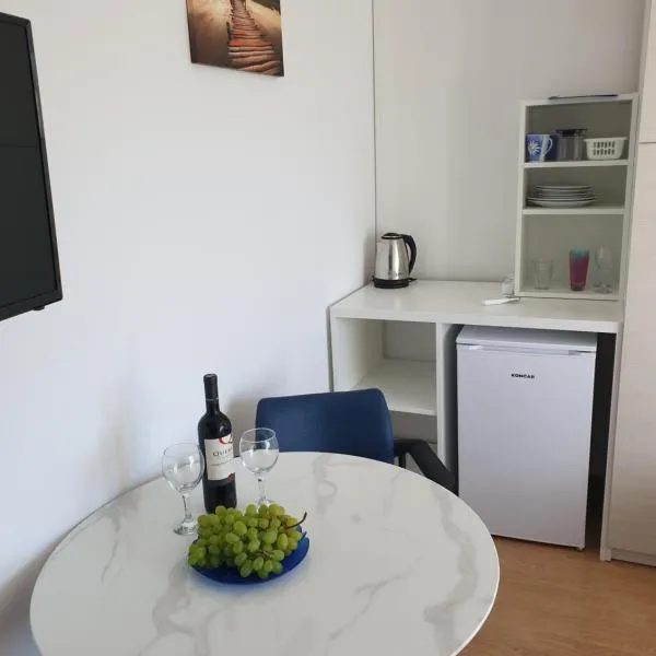 Soba brez balkona，位于斯塔拉诺瓦利亚的酒店