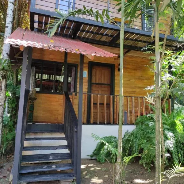 Papaya Wildlife Lodge，位于Limon的酒店