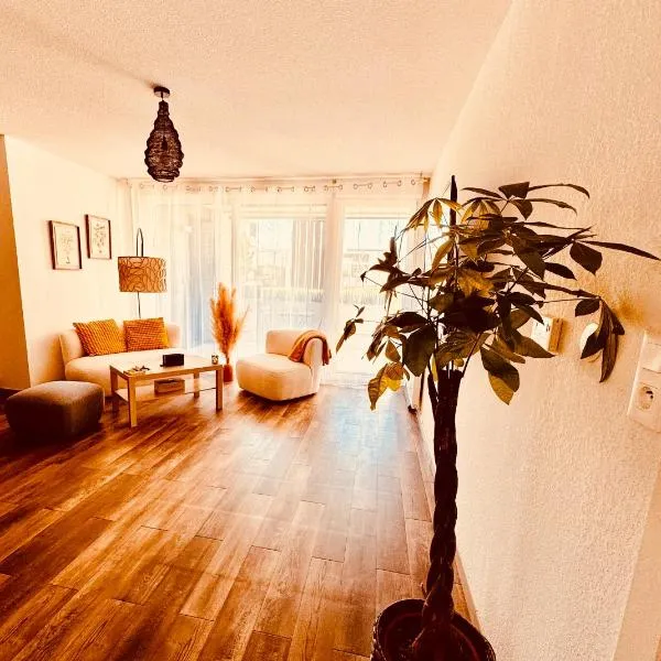 Appartement 2 chambres cosy proche aéroport et MEETT au pied du tram，位于布拉尼亚克的酒店
