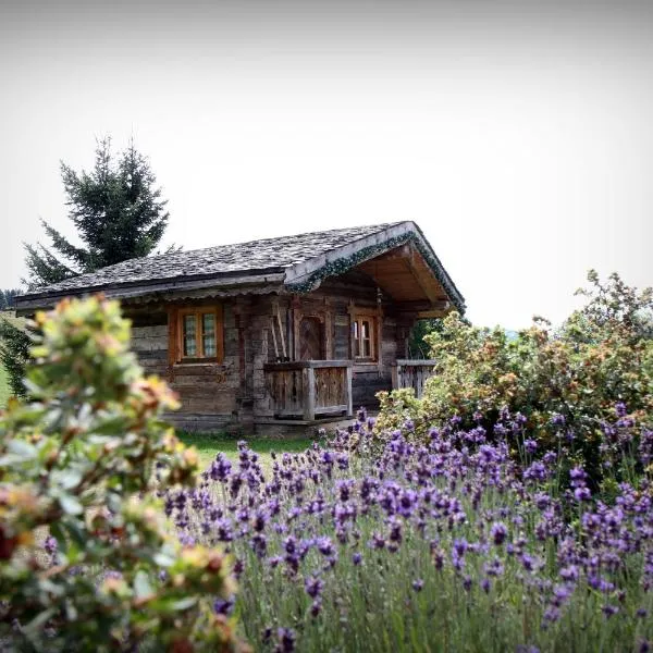 Hôtel Le Manoir des Montagnes，位于La Cure的酒店