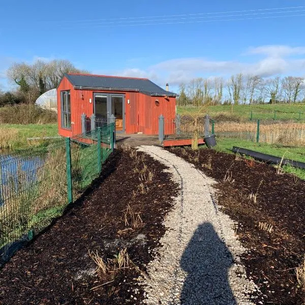 Red Sheds Cabin，位于Ballybrittas的酒店