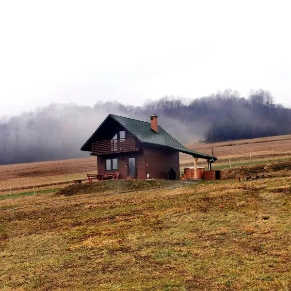 Domek Na Starej Cegielni，位于Strzebowiska的酒店