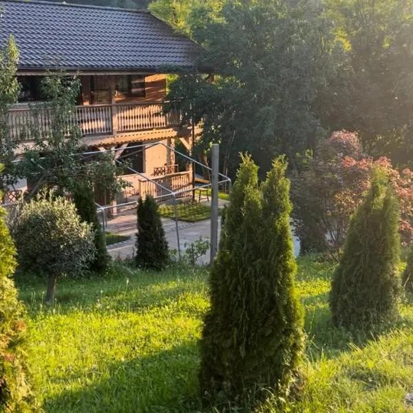 Muntele cu dor，位于布泽乌的酒店