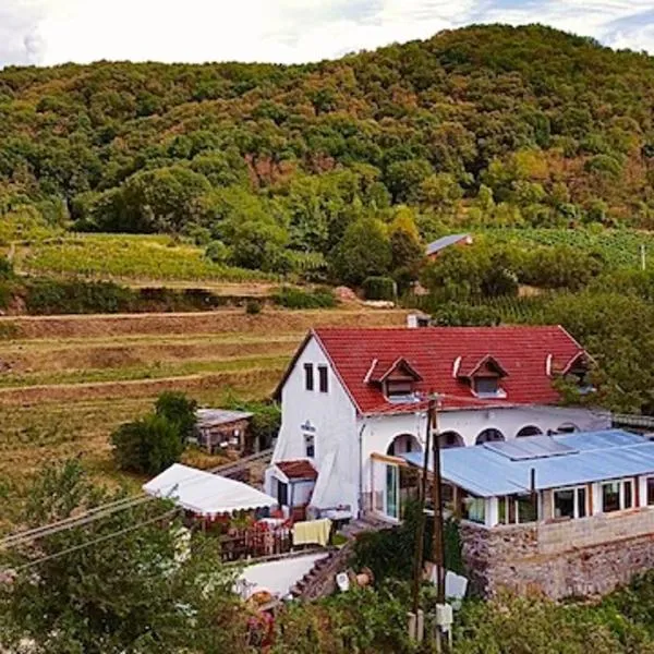 Inhauser Pincészet&Guesthouse&Restaurant，位于Borgáta的酒店