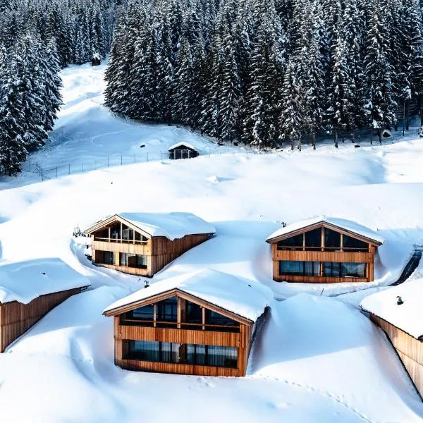 Torghele's Wald & Fluh，位于巴尔德赫旺的酒店