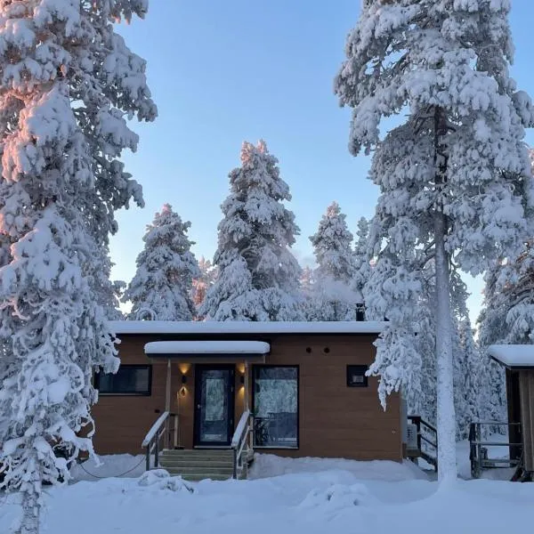 WALD Villas - Aavasaksa, Lapland，位于Aavasaksa的酒店