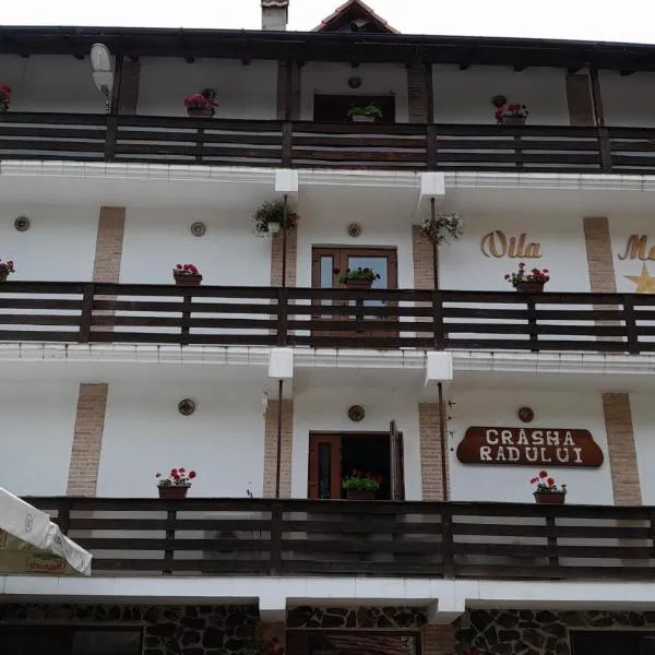 Pensiunea Madalina - LIMARA，位于Prăjila的酒店