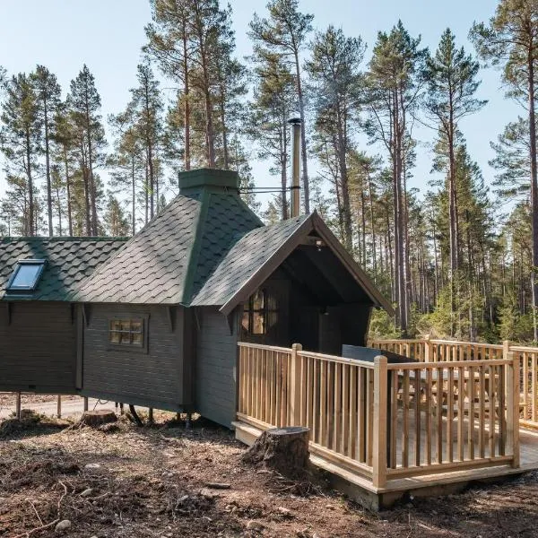 Cairngorm Bothies，位于阿博因的酒店