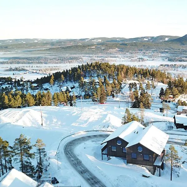 Toppvillan - Ski In - Ski Out - 200 m till toppen och cykelleder，位于Tallåsen的酒店