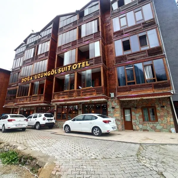 Doğa Suite Hotel，位于Yaylaönü的酒店