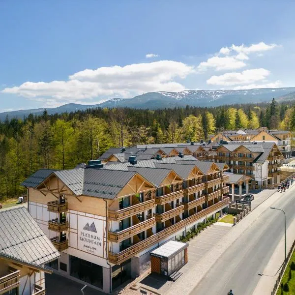 Platinum Mountain Hotel&SPA，位于Kopaniec的酒店