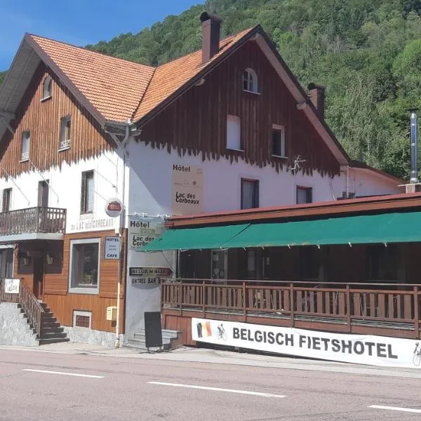 Hotel du lac des Corbeaux，位于拉布雷斯的酒店