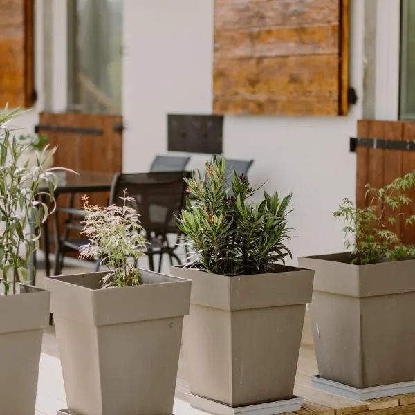 Domaine les hirondelles Carmen，位于Domessin的酒店